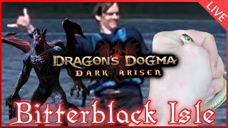 IM BACK  Where Ive Been  ONESHOT Talk  Dragons Dogma [upl. by Hoban712]