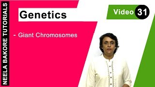 Genetics  Principles of Inheritance amp Variations  NEET  Giant Chromosomes  Neela Bakore Tutorial [upl. by Veljkov]