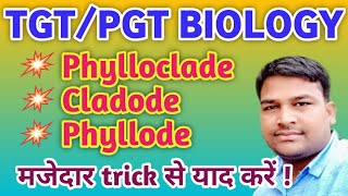 Phylloclade Cladode Phyllode  tricky biology  Difference between Phylloclade Cladode amp Phyllode [upl. by Uahsoj]