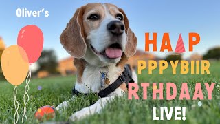 ⭐️ Olivers 2024 birthday livestream ⭐️ [upl. by Barrow]