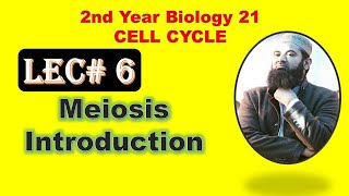 Meiosis introduction 2nd year biology Lecture no 6 [upl. by Dolli]