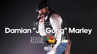 Damian Jr Gong Marley Live at Reggae Lake Festival Amsterdam 2024 [upl. by Dhaf]