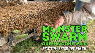 Part 2 Monster Swarm Queens Gone Wild Splitting after the Swarm [upl. by Minne909]