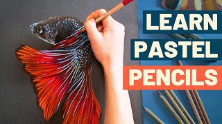 How to use Pastel Pencils  Complete Beginners Guide [upl. by Dnomar369]