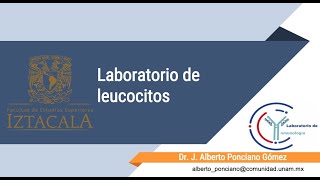 Laboratorio de leucocitos [upl. by Quincy505]