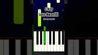 C Kay  Love Nwantiti  Piano lessons Songs piano youtubeshorts pianolessons howtoplay [upl. by Maddock]