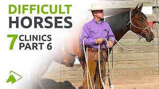 How to Train Difficult Horses  7 Clinics with Buck Brannaman  wehorse [upl. by Bonaparte]