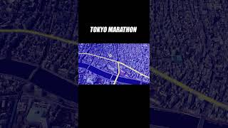 TOKYO MARATHON [upl. by Noevad538]