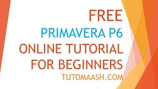 Free Oracle Primavera p6 Online Training Beginners kitBK series [upl. by Adnohryt10]