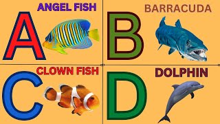 ABC sea animalsSea animals ABCseaanimals abc [upl. by Cohbath120]