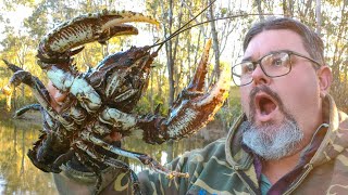 Catching MONSTER Crayfish And Murray Cod With A Secret Crayfish Bait [upl. by Letsou]