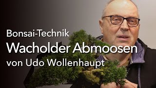 Wie werden aus einem Bonsai zwei BonsaiTechnik Abmoosen mit Udo Wollenhaupt [upl. by Aillicsirp460]