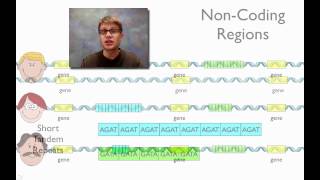 DNA Fingerprinting [upl. by Hewett]