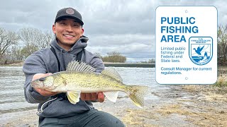 Public Shore Fishing a Popular Dam for Walleyes CATCH CLEAN COOK [upl. by Sarena203]