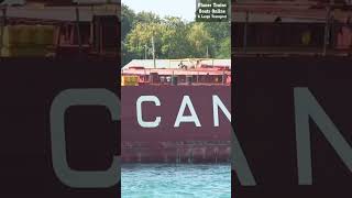 shorts Frontenac 222m Cargo Ship Under Bluewater Bridges ships [upl. by Nnazus]