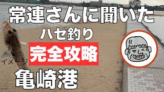 亀崎港 常連さんに聞いたハゼ釣り完全攻略 ちょっといい話 2024年8月31日 [upl. by Brasca]