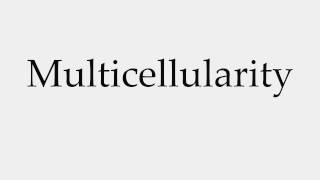 How to Pronounce Multicellularity [upl. by Felicia]