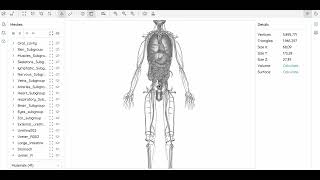 komplette menschliche Anatomie [upl. by Mitchell]