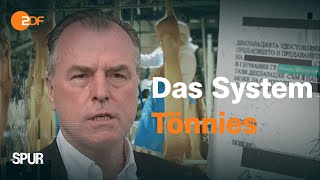 Das System Tönnies Schmiergeld Schwarzarbeit und Sozialbetrug  Die Spur [upl. by Ahsiekahs]