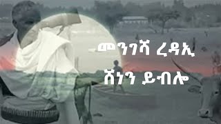 Mengesha Redae shenen yiblo lyrics መንገሻ ረዳኢ ሸነን ይብሎ ግጥሚ [upl. by Dlonra]