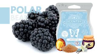 Polar Bear Hug Scentsy Wax Bar Fragrance Description [upl. by Eceinaj129]