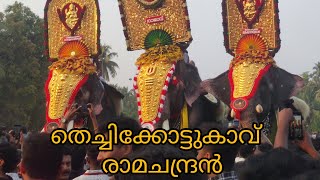 Parkkadi pooram പാർക്കടിപൂരം 2024 ഗജ രാജഭീമന്മാർ പങ്കെടുക്കുന്ന പൂരം [upl. by Menashem]