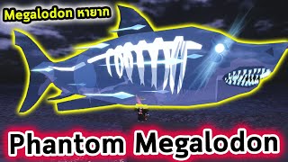 ตกได้ Phantom Megalodon Roblox Fisch [upl. by Ynej]