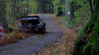 WRC Central European Rally 2024  Drifts  Cuts  Full Send  Mistakes [upl. by Ahsiam]