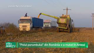 ”Polul porumbului” din România s a mutat în Ardeal 14 11 2024 [upl. by Christopher]