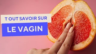 VAGIN  TOUT SAVOIR sur le VAGIN  Anatomie maladies examens [upl. by Baptlsta]