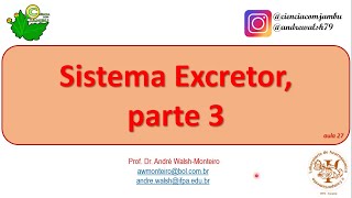 Morfofisiologia Comparada Sistema Excretor parte 3 27 [upl. by Talbott]