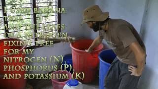 FREE  Homemade Plant fertilizer [upl. by Arleen]