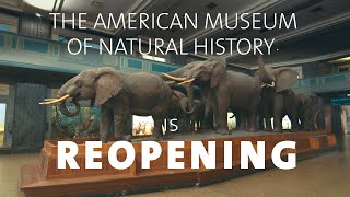 The American Museum of Natural History is Now Open [upl. by Aimaj445]