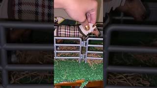 Schleich fall setup part 1 schleichshort [upl. by Eissirk157]