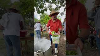 Echando verduras hazmeviralenyoutube campo comida [upl. by Ylenats]