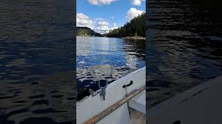 Fisking makrell under the Norways stedene bridge fishing automobile sailing fish sailboating [upl. by Lammond48]