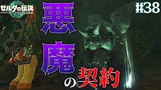 悪魔との禁断の契約内容とは？【ゼルダの伝説 ティアーズ オブ ザ キングダム】を実況プレイ38 [upl. by Murrah]