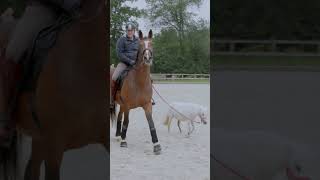 Reiten mit Wilma [upl. by Zoilla]