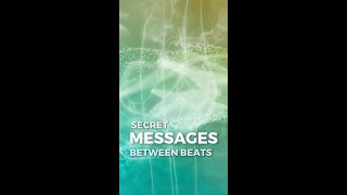 Secret Messages Between Beats [upl. by Athalie]