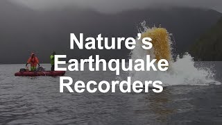 Natures Earthquake Recorders [upl. by Yellek]