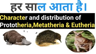 Bsc part 2 zoology general character and distribution of prototheria metatheria and Eutheria [upl. by Liew]