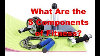 What Are the 5 Components of Fitness  Complete Guide to Fitness Components [upl. by Vonny672]