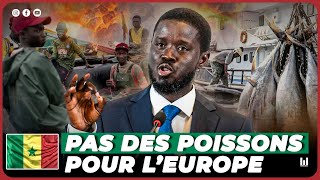 LE NOUVEAU PRESIDENT SENEGALAIS ANNULE LES ACCORDS AVEC LEUROPE [upl. by Novia401]