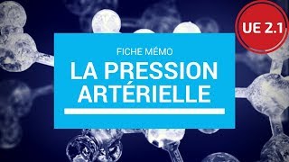 La pression artérielle [upl. by Einra303]