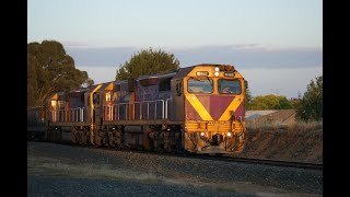 SSRs Deniliquin Grain  N466 and N455 [upl. by Fabe127]