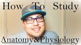 How To Study Anatomy and Physiology 3 Steps to Straight As [upl. by Odnolor595]