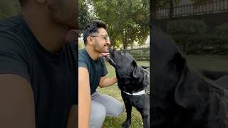 Lucky Ke Sath Outing doglover lucky [upl. by Vonnie983]