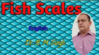 Fish scale English [upl. by Althee601]