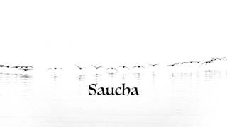 Saucha Purity or Wholeness The First Niyama [upl. by Viguerie972]