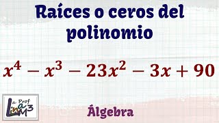 Raíces o ceros de un polinomio de grado 4  La Prof Lina M3 [upl. by Hahseram]